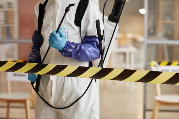 Professional Hoarding Cleanup technician working in Vendor, AR